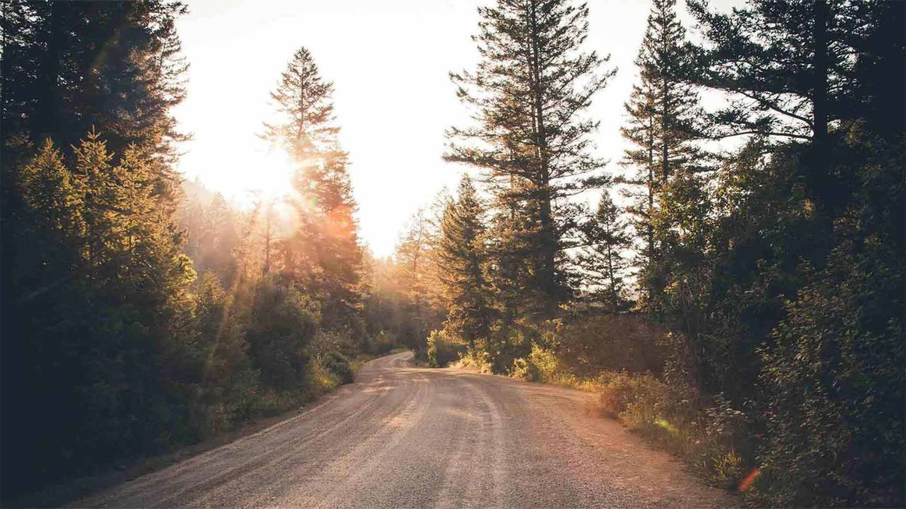 Uma estrada de terra em um bosque, mostrando a mão de Deus na natureza