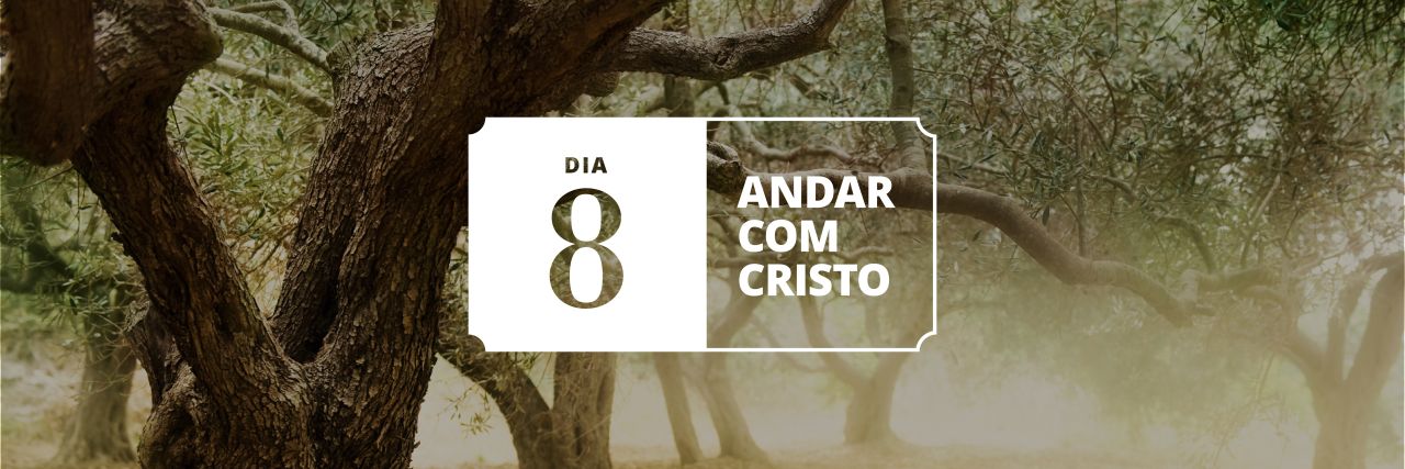Oliveiras