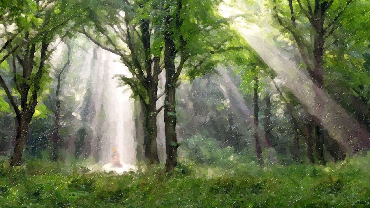 Um pilar de luz brilha sobre Joseph Smith durante o evento conhecido como a Primeira Visão
