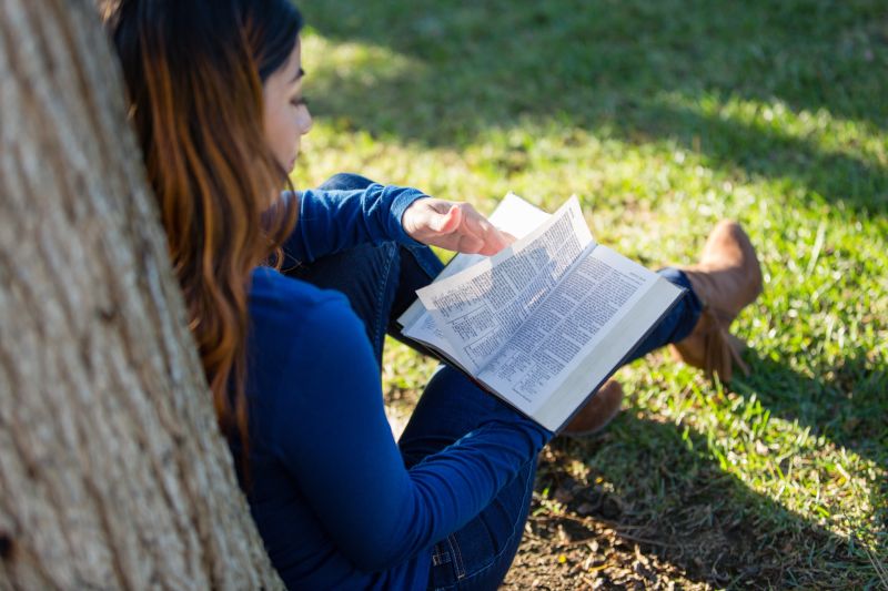 Uma mulher sentada debaixo de uma árvore, estudando o Livro de Mórmon
